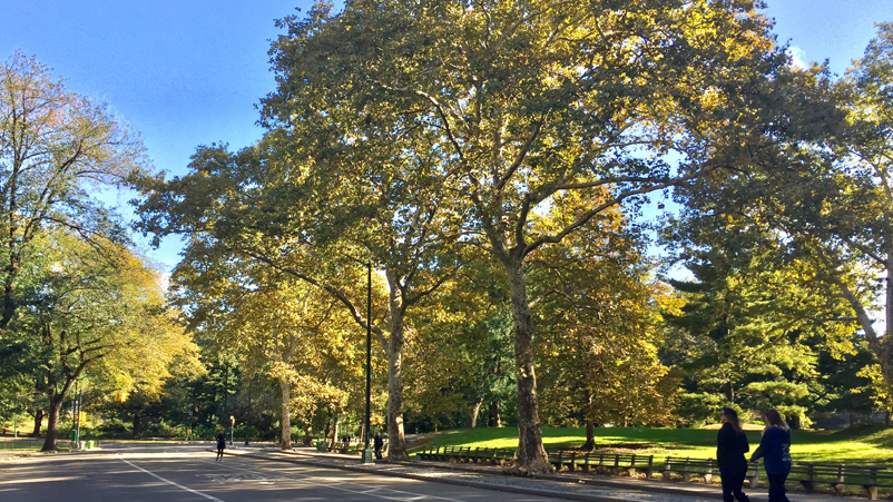 Dorchester Towers condo End of Summer 2018 Market Report